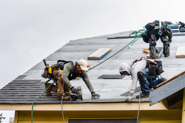 Professional Storm Damage Roof Repair technician working in Pitcher, NY